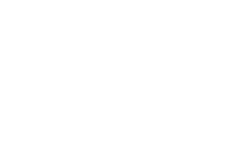 Newspaper